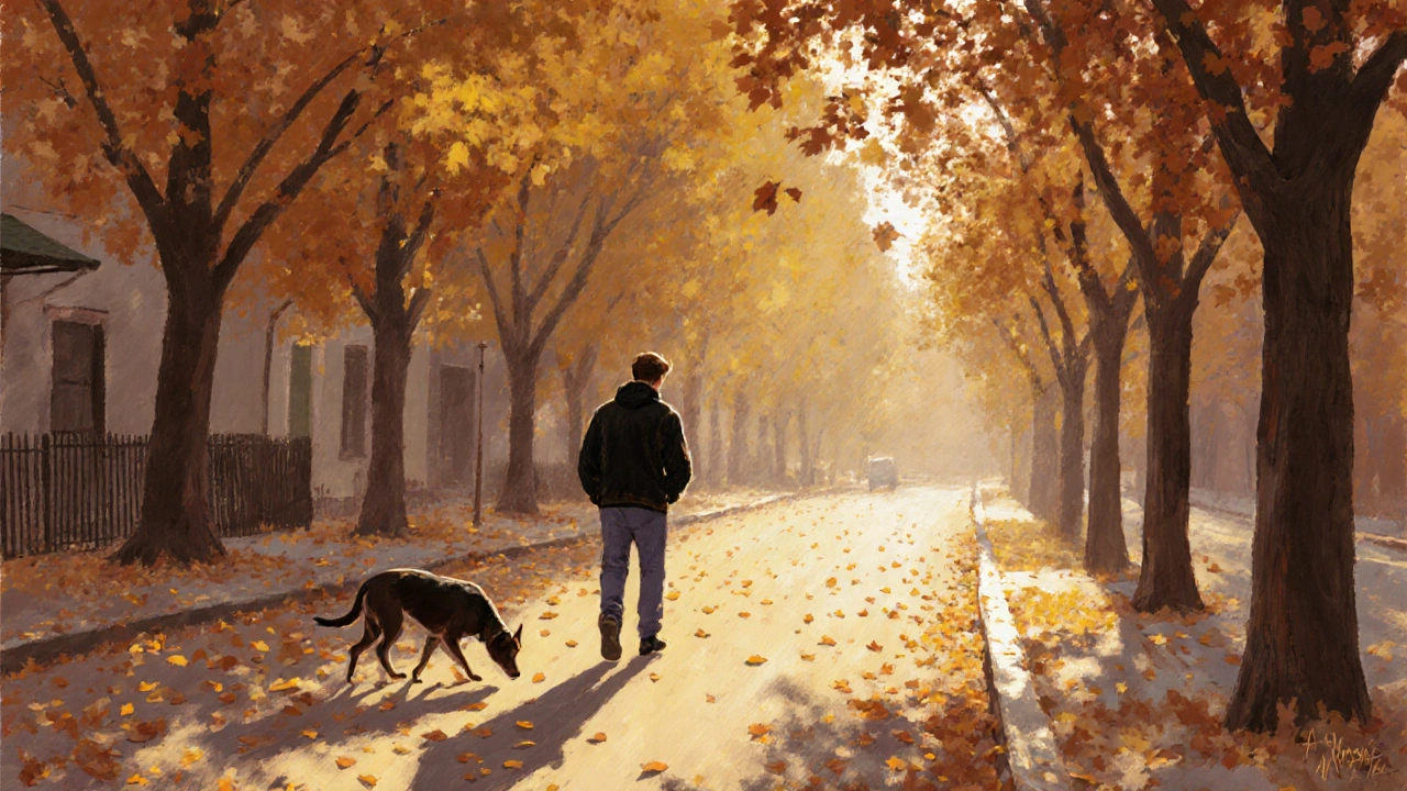 Člověk pomalu prochází ulicí v podzimu, pozoruje listí a psa, bez telefonu.