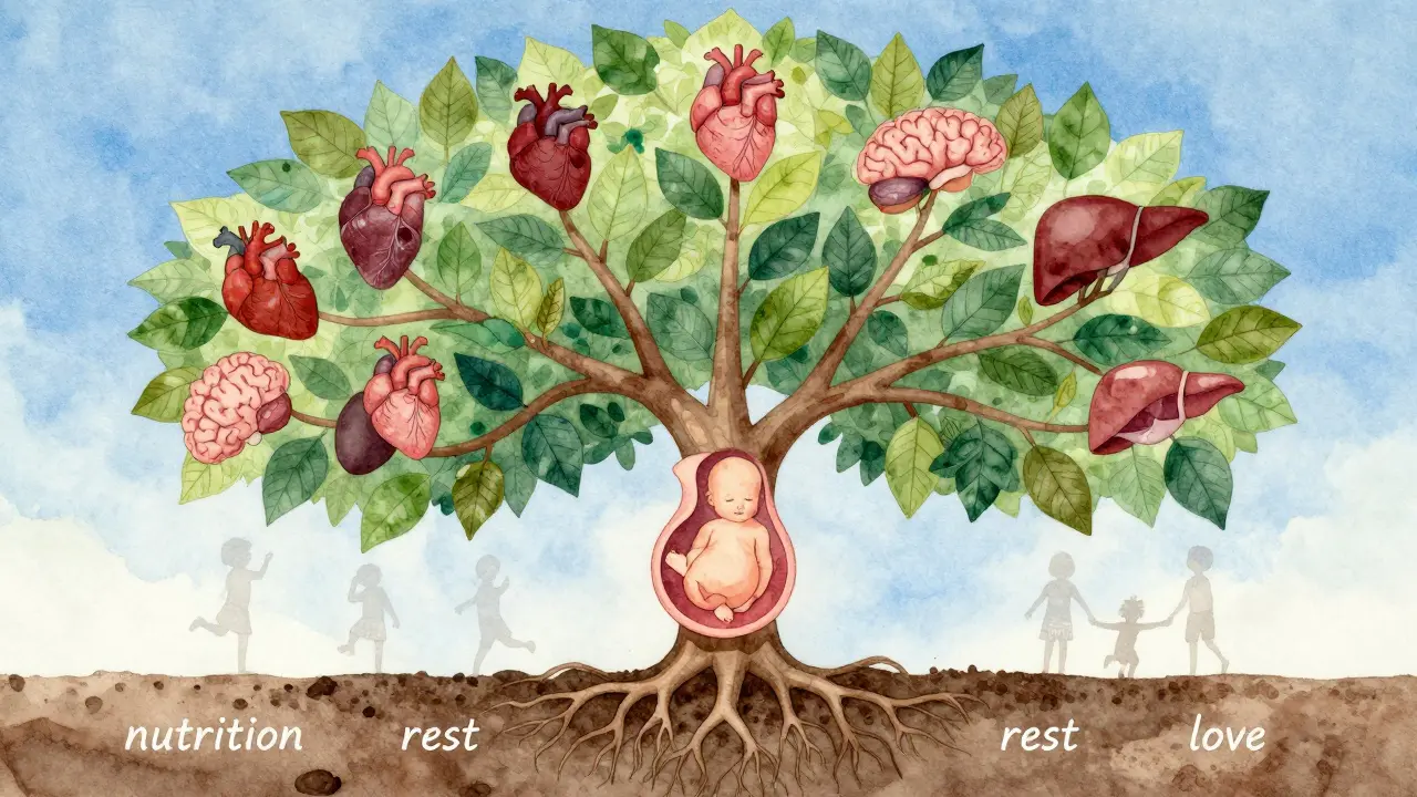 Strom rostoucí z embrya s kořeny a listy symbolizujícími zdraví generací.