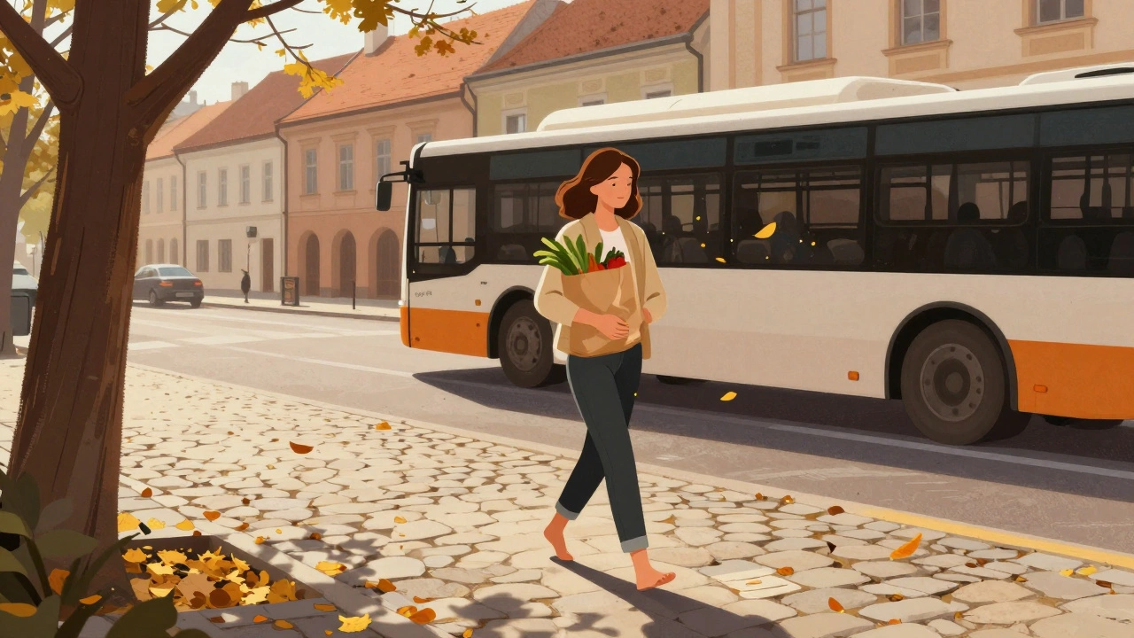 Žena prochází listnatou ulicí v Brně s nákupem zeleniny.